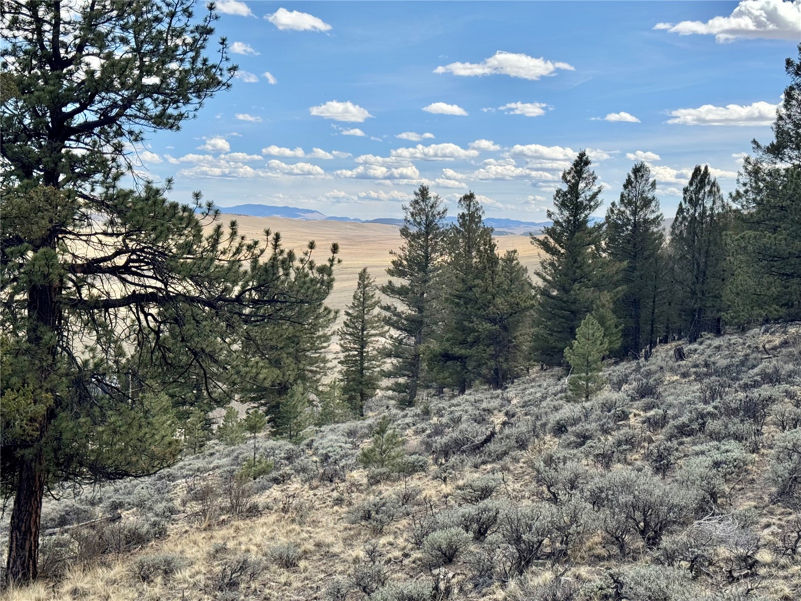 3129 Redhill Road Fairplay, CO 80440 - Photo 40 of 48