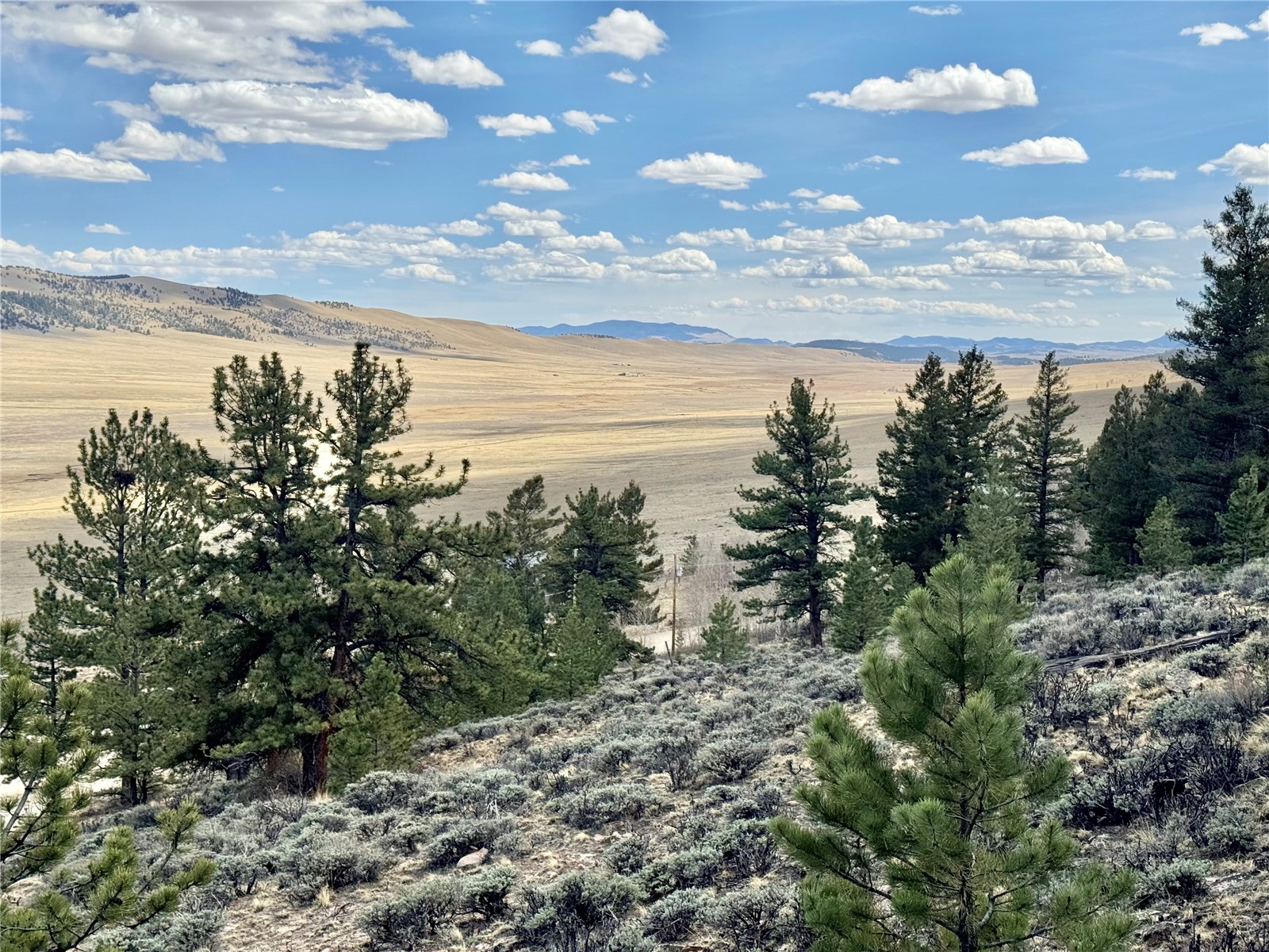 3129 Redhill Road Fairplay, CO 80440 - Photo 41 of 48