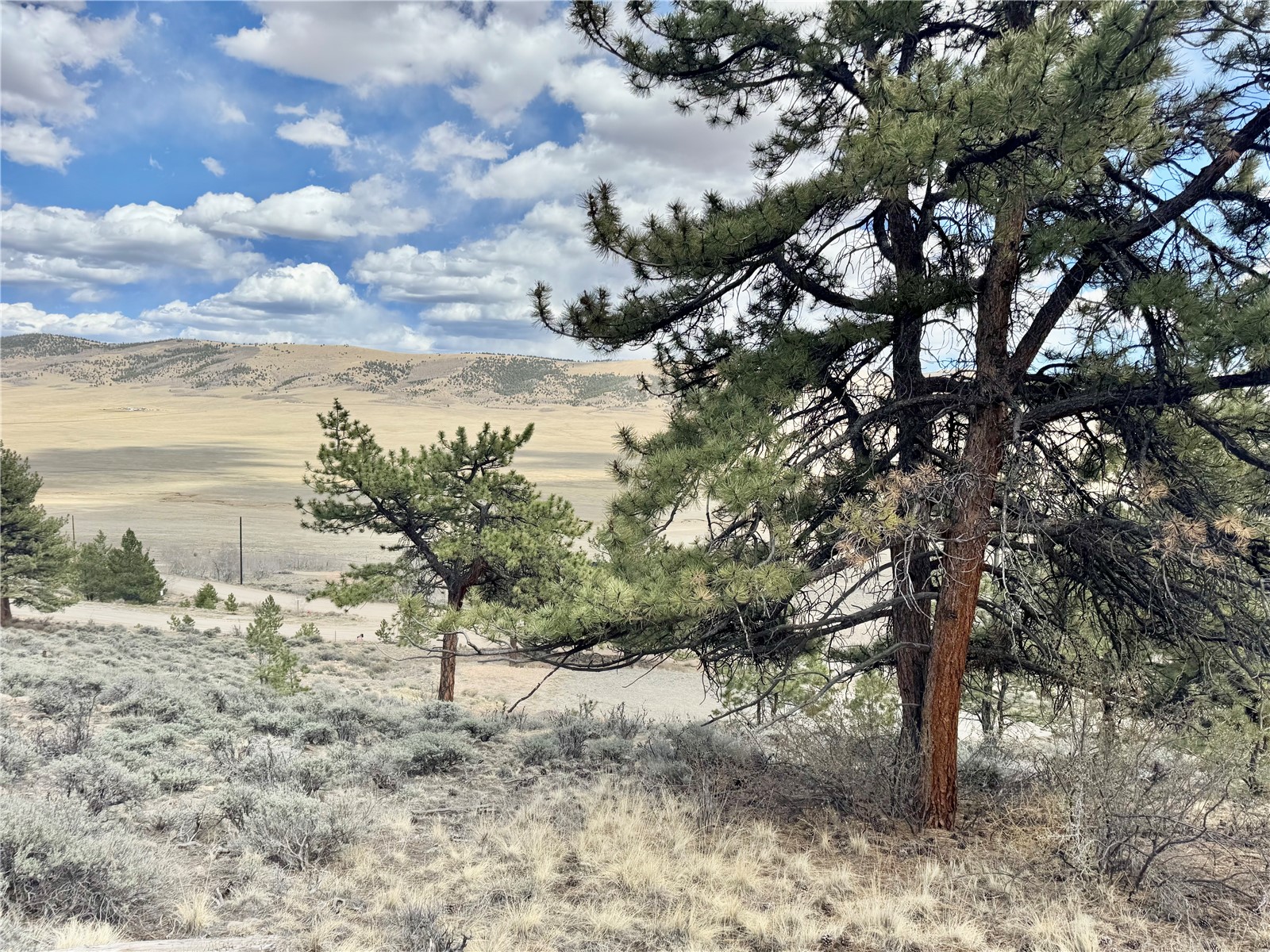 3129 Redhill Road Fairplay, CO 80440 - Photo 43 of 48