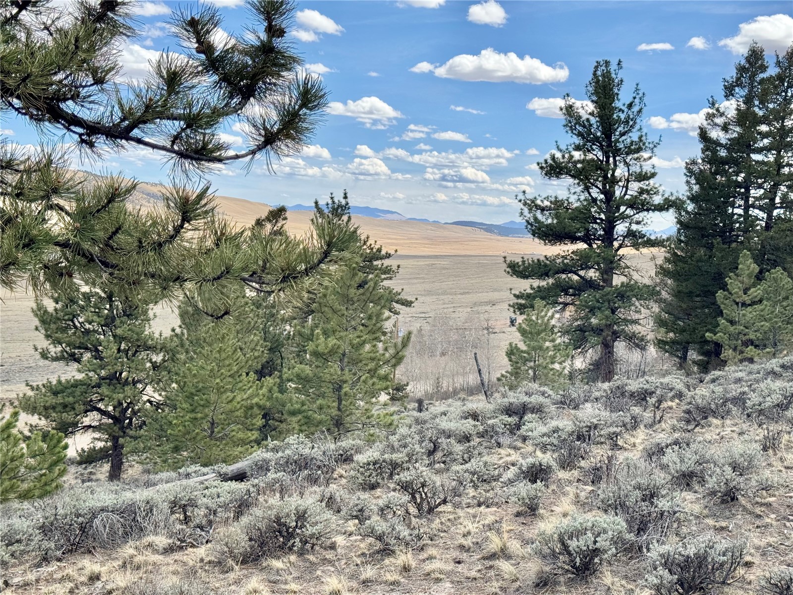 3129 Redhill Road Fairplay, CO 80440 - Photo 44 of 48