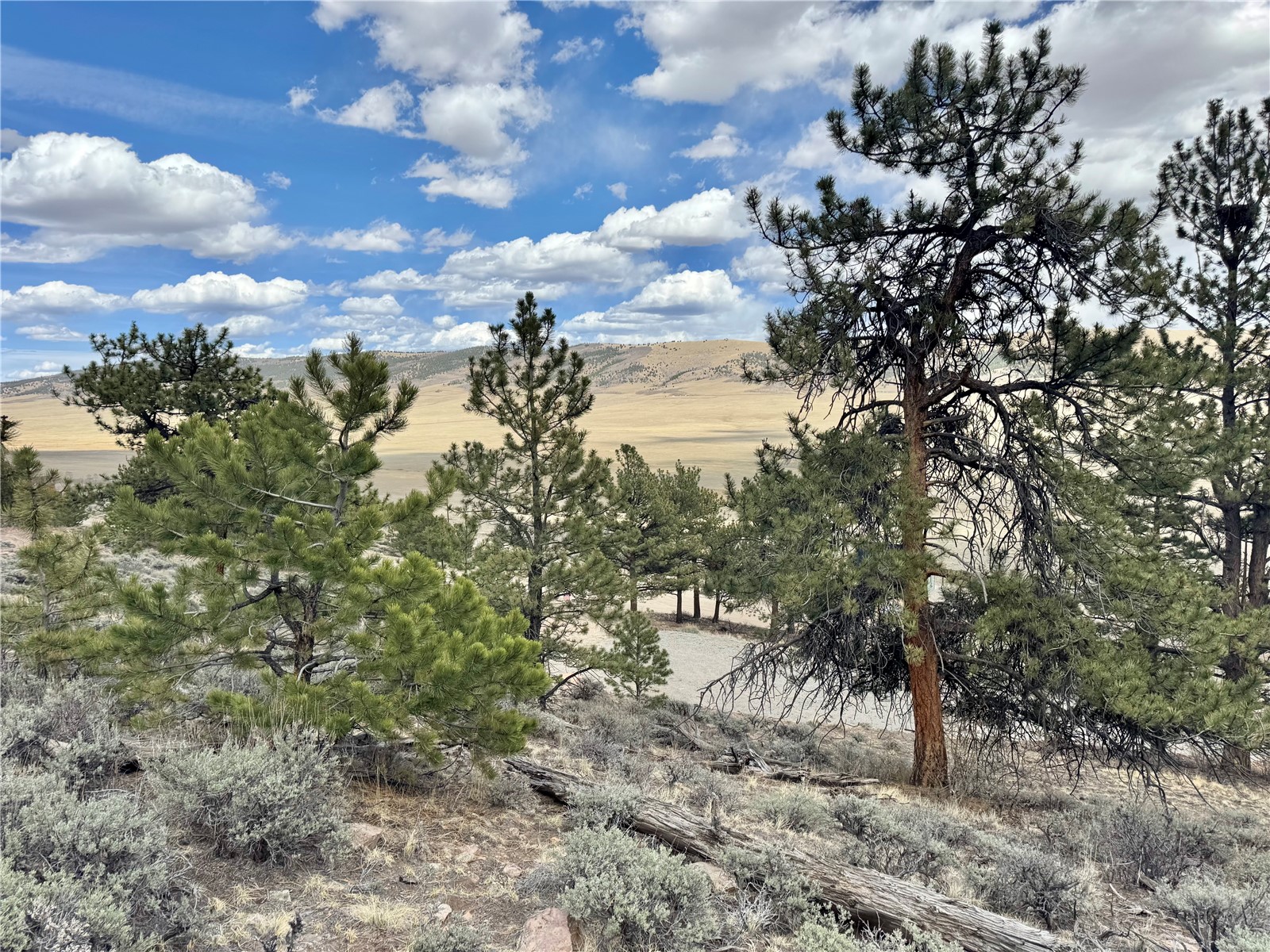 3129 Redhill Road Fairplay, CO 80440 - Photo 45 of 48