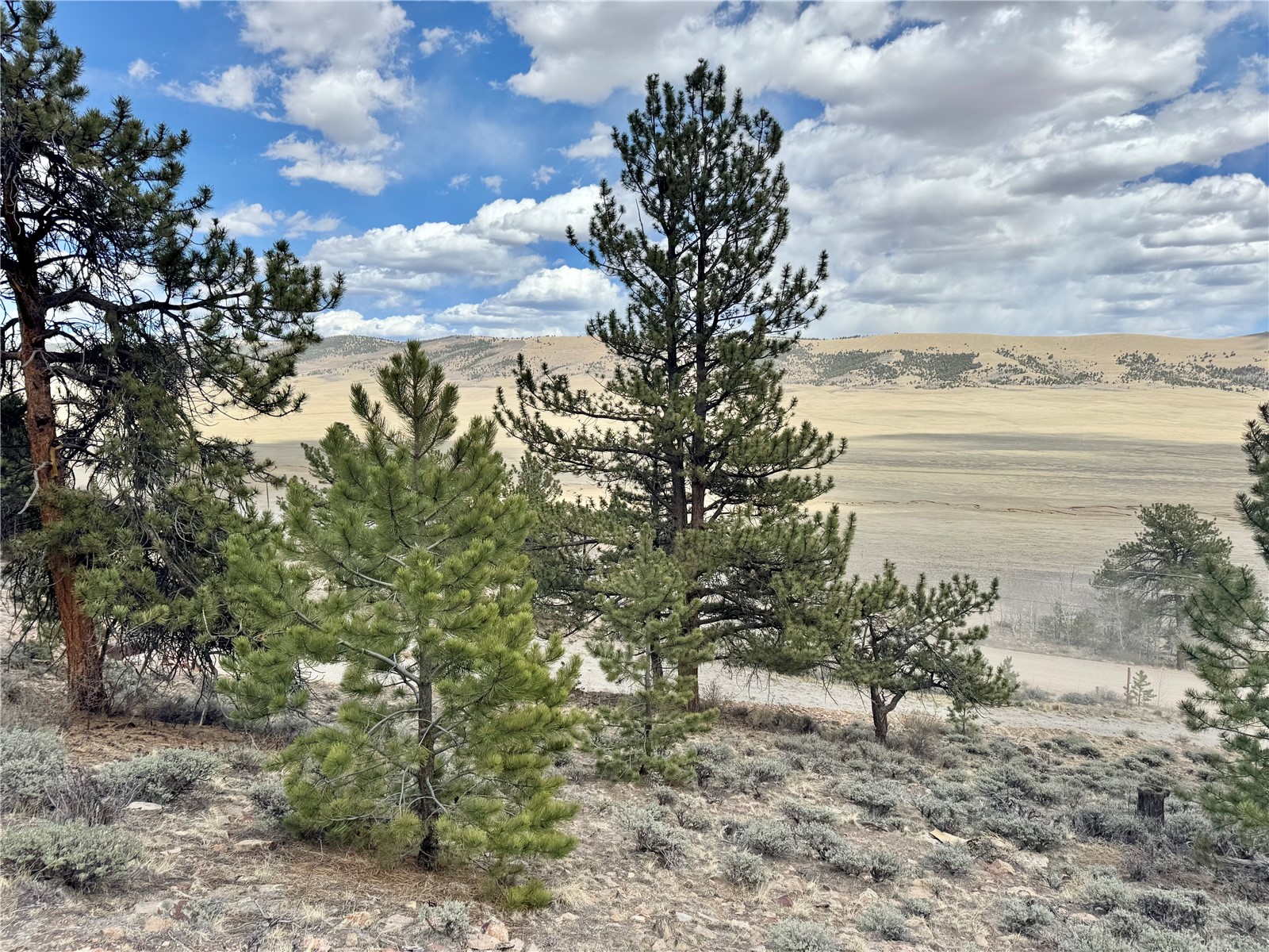 3129 Redhill Road Fairplay, CO 80440 - Photo 46 of 48