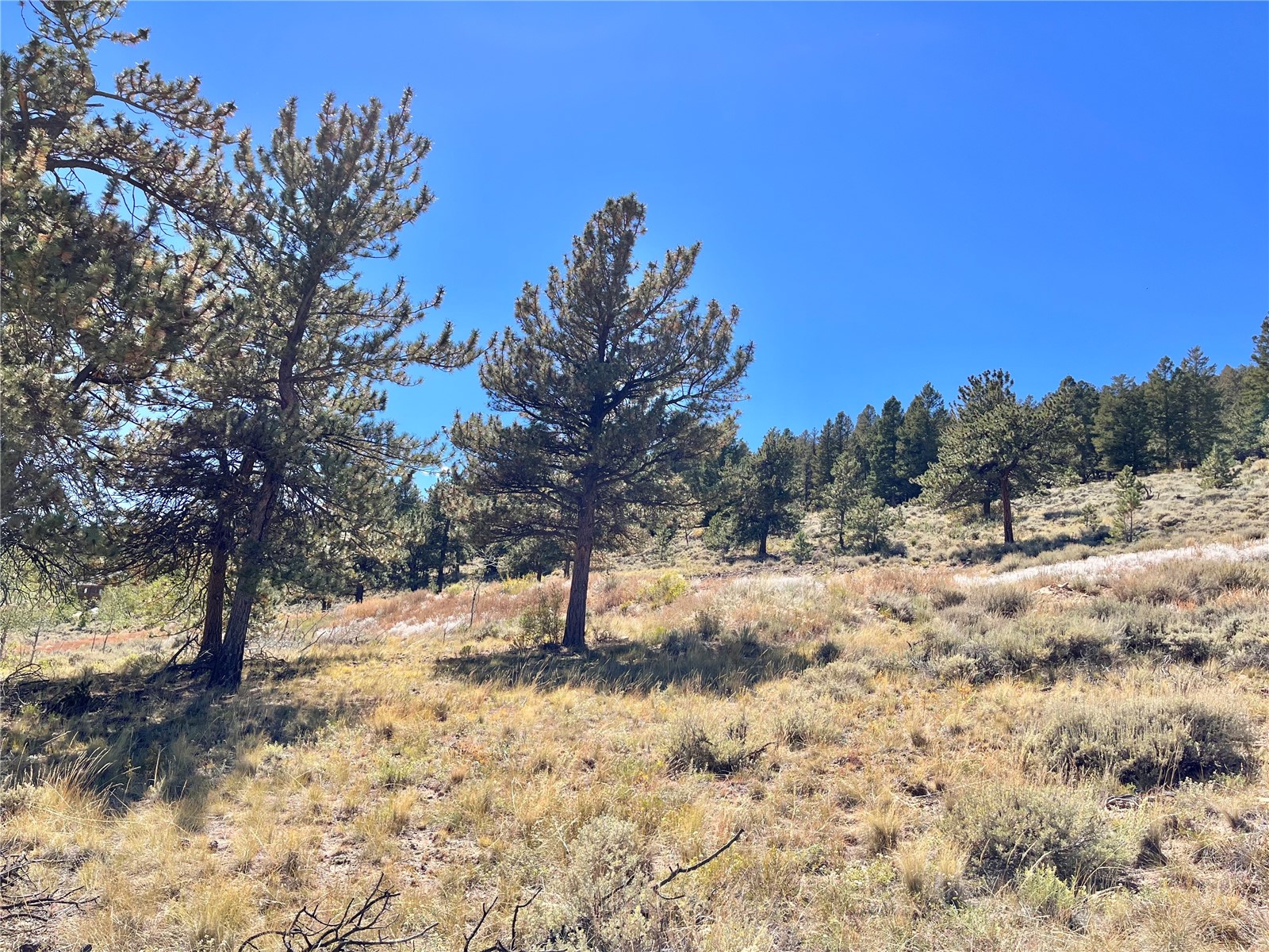 3129 Redhill Road Fairplay, CO 80440 - Photo 47 of 48