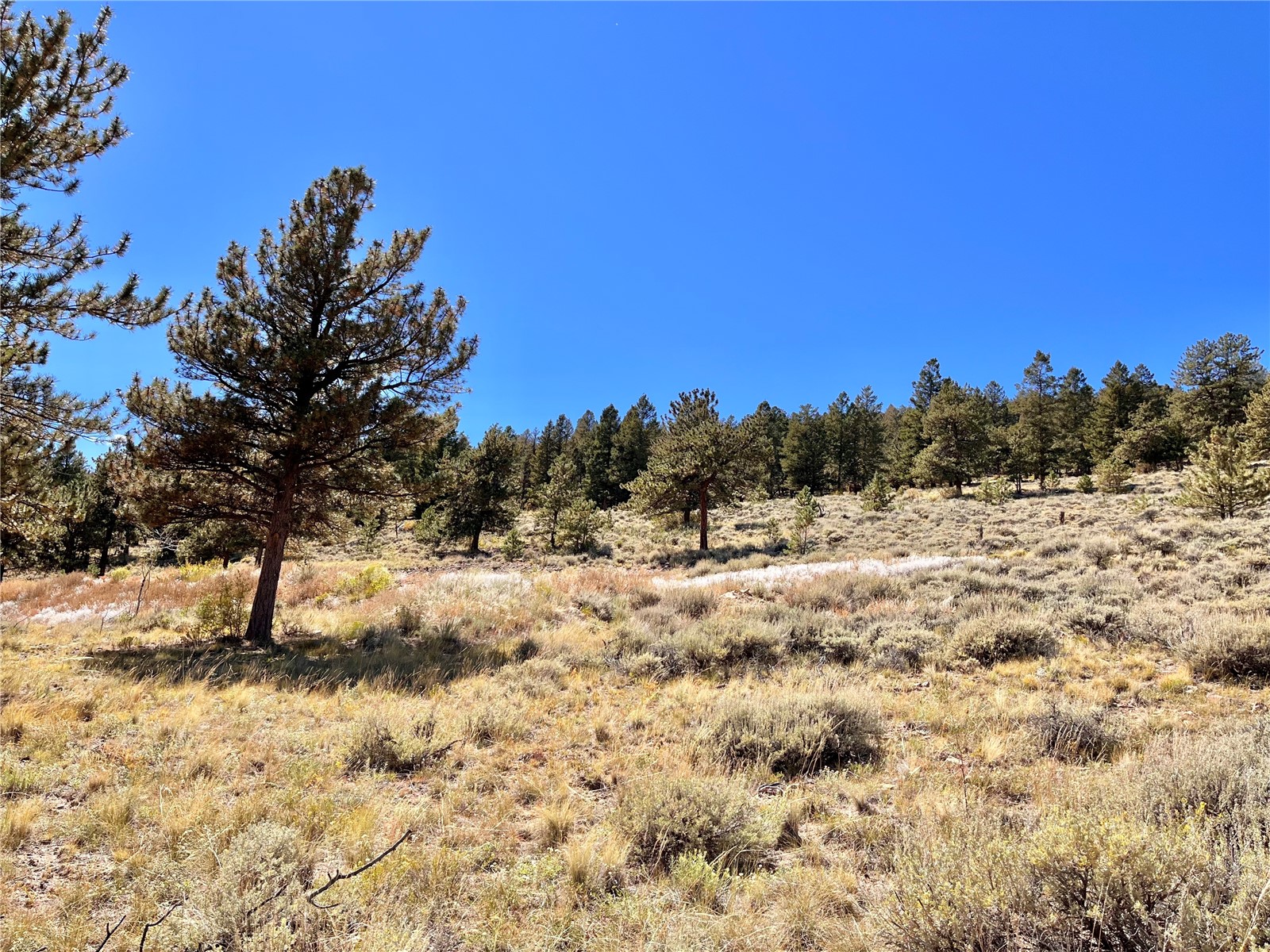 3129 Redhill Road Fairplay, CO 80440 - Photo 48 of 48