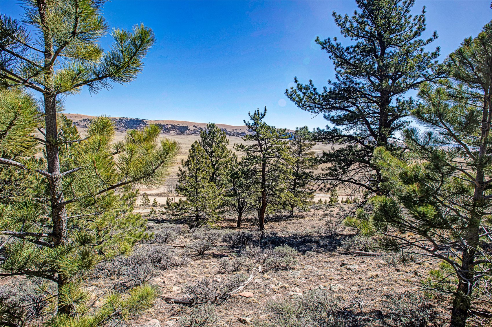 3129 Redhill Road Fairplay, CO 80440 - Photo 6 of 48