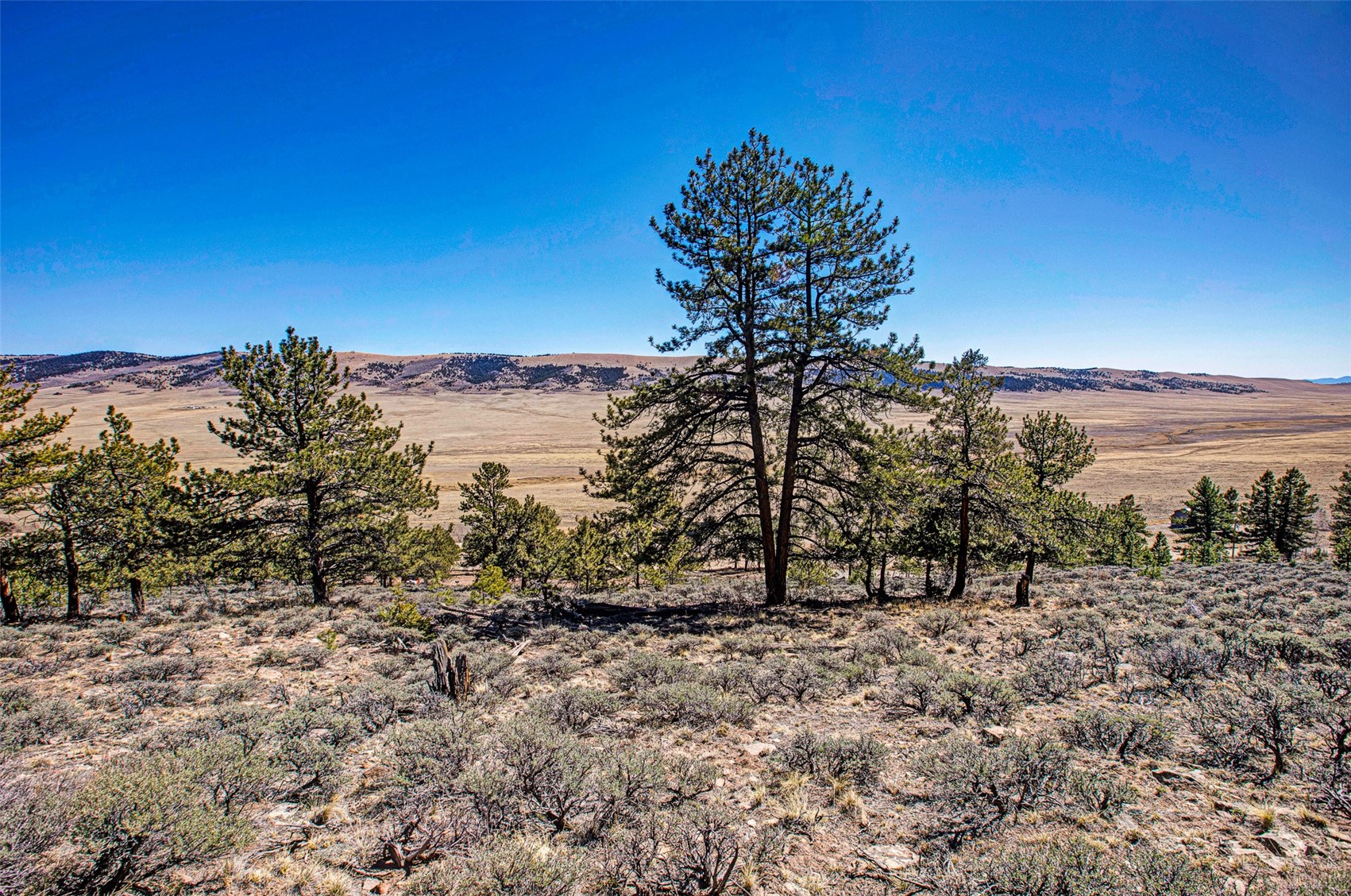 3129 Redhill Road Fairplay, CO 80440 - Photo 7 of 48