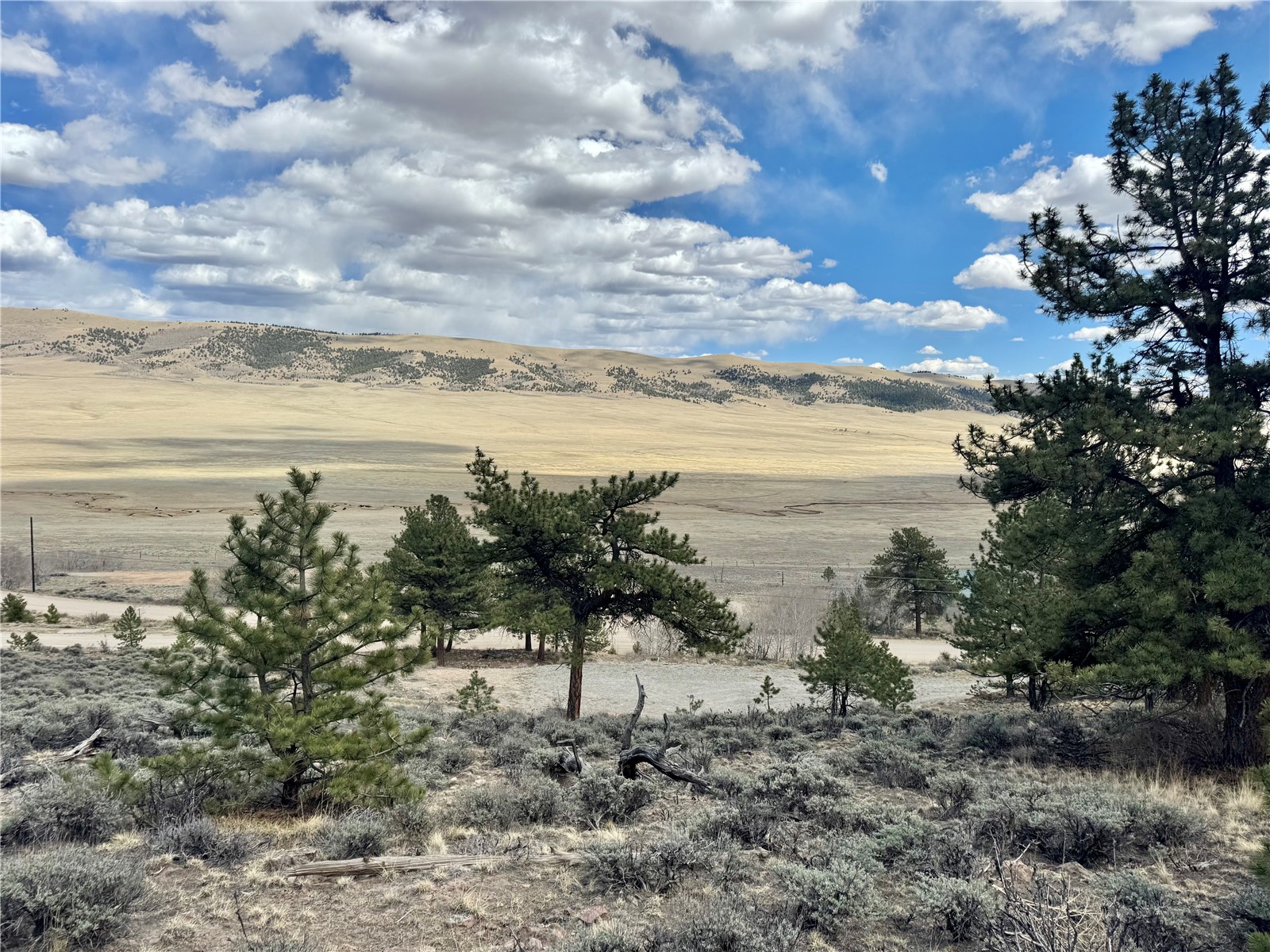 3129 Redhill Road Fairplay, CO 80440 - Photo 9 of 48