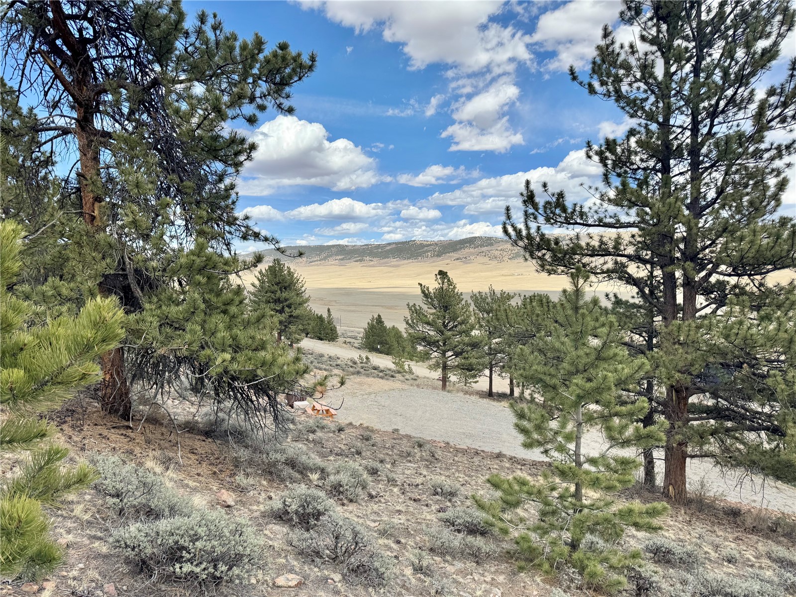 3129 Redhill Road Fairplay, CO 80440 - Photo 10 of 48