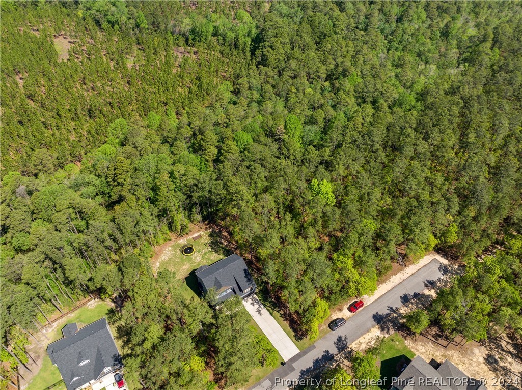 15420 Raccoon Run Road Wagram, NC 28396 - Photo 37 of 39 an aerial view of a house with a yard