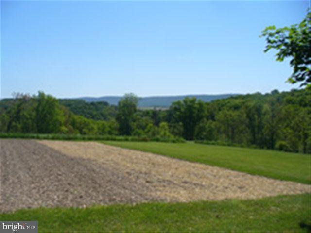 419 Mountain Road Millerstown, PA 17062 - Photo 9 of 12 Gallery Image 9