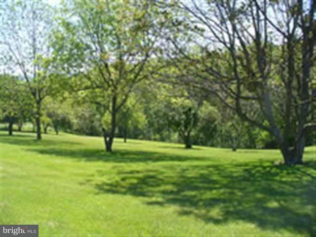 419 Mountain Road Millerstown, PA 17062 - Photo 10 of 12 Gallery Image 10