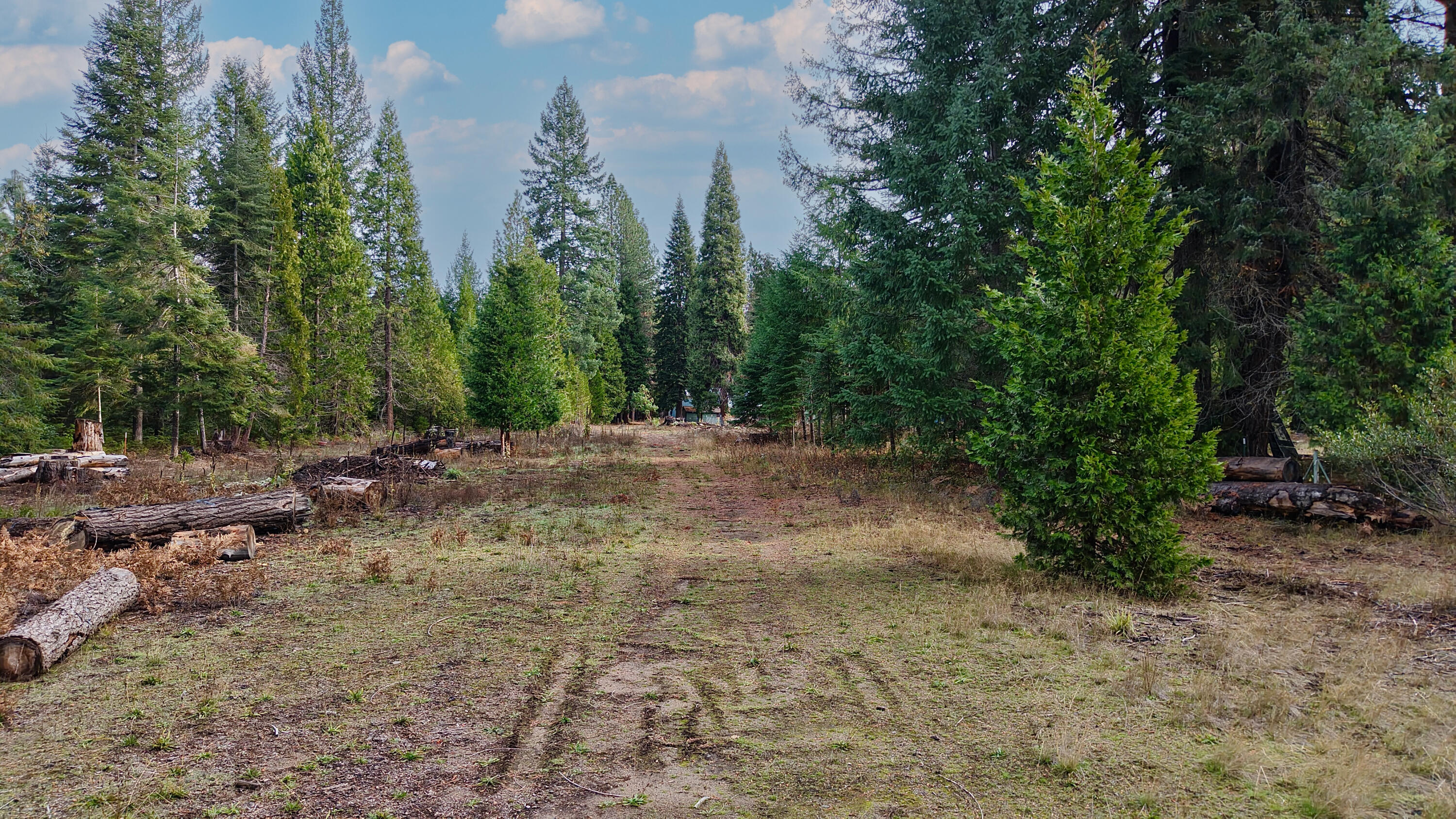 431 Red Blanket Road Prospect, OR 97536 - Photo 44 of 48 Path to Barr Creek