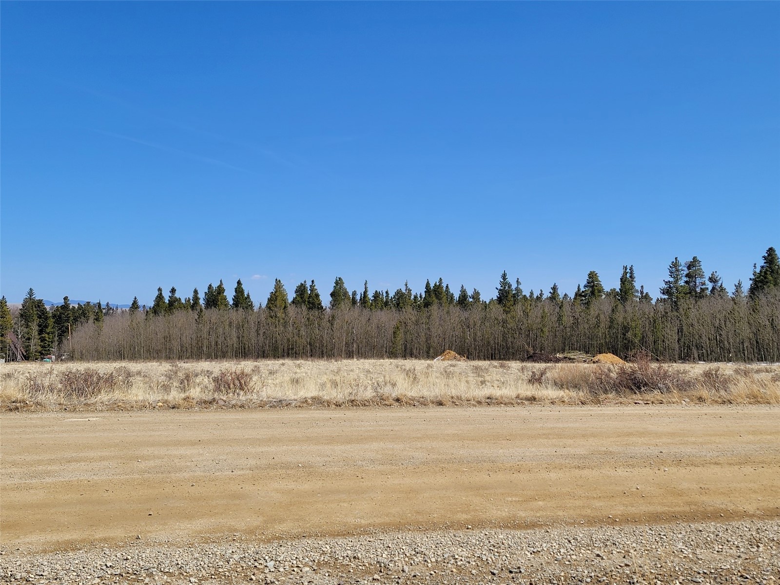 395 Wild Rye Road Fairplay, CO 80440 - Photo 14 of 20 Gallery Image 14