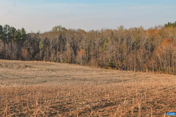 a view of dirt yard and trees