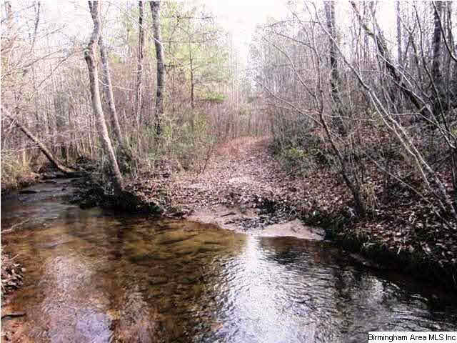 Blakes Ferry Road, Unit 80 Lineville, AL 36266 - Photo 1 of 8