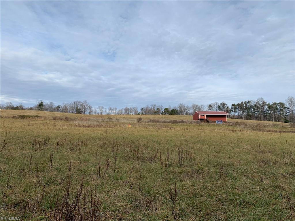0 Leroy Gillespie Road Lowgap, NC 27024 - Photo 2 of 27 Gallery Image 2