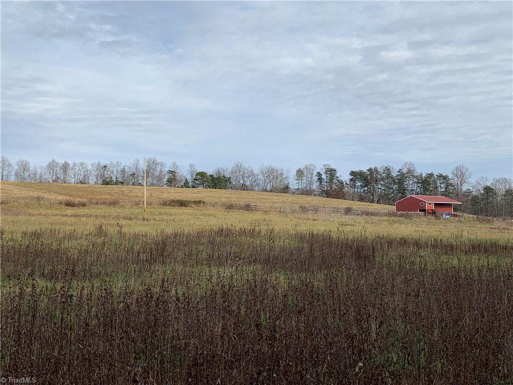 0 Leroy Gillespie Road Lowgap, NC 27024 - Photo 3 of 27 Gallery Image 3