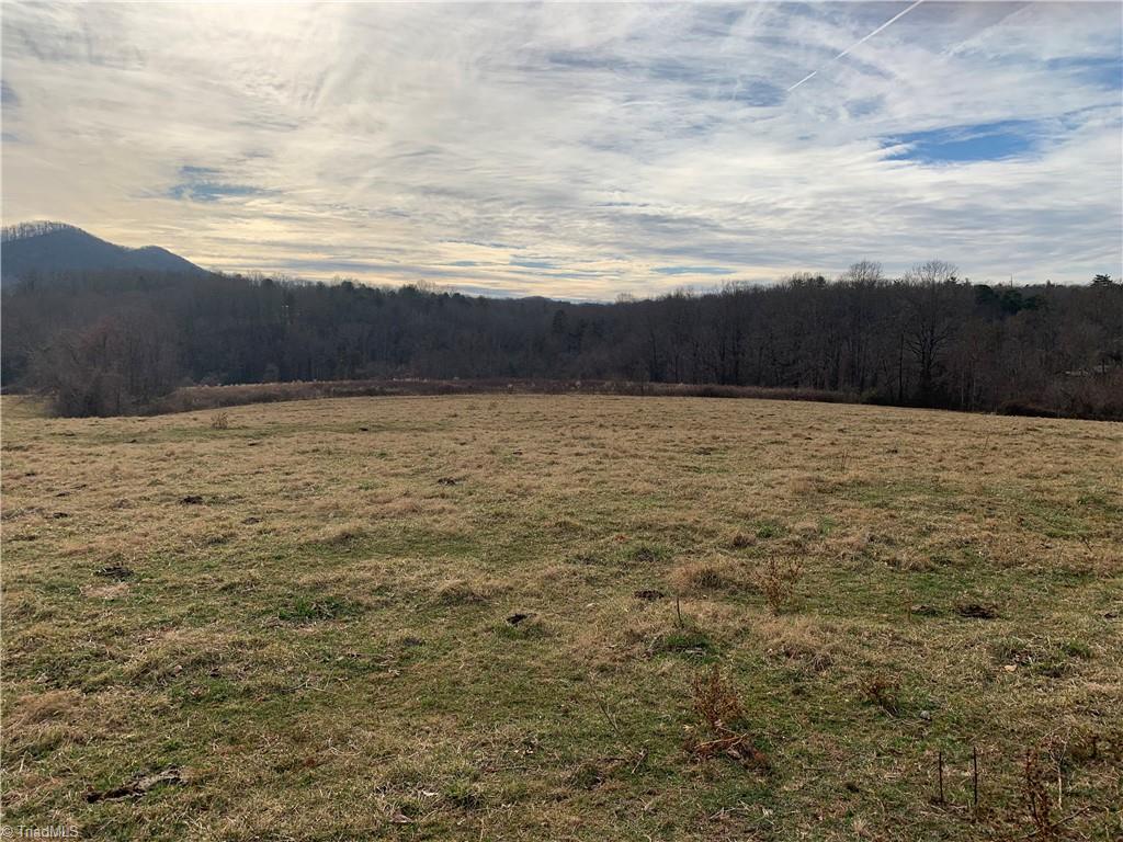 0 Leroy Gillespie Road Lowgap, NC 27024 - Photo 21 of 27 Highest point on property