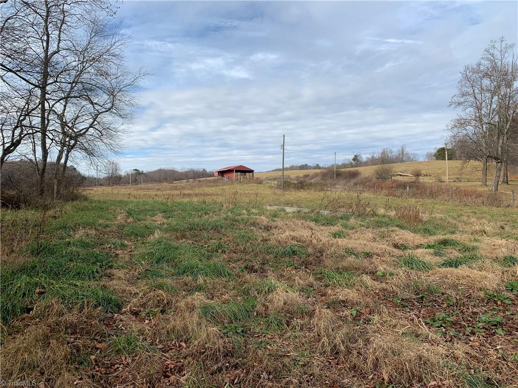 0 Leroy Gillespie Road Lowgap, NC 27024 - Photo 4 of 27 Gallery Image 4
