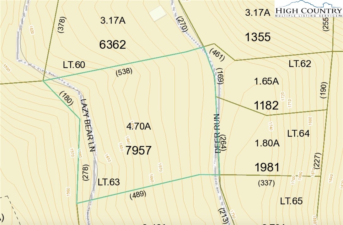Lot 63 Deer Run Purlear, NC 28665 - Photo 4 of 24 Gallery Image 4