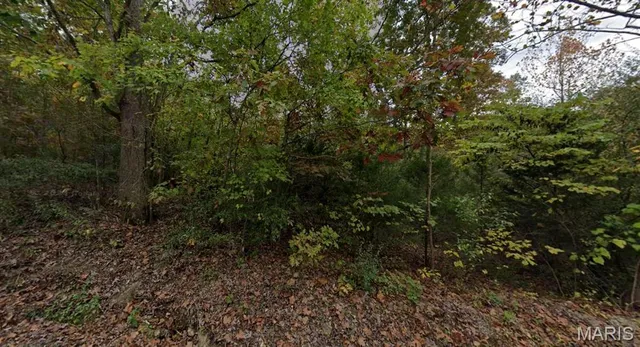 $7,500 | 9482 James Drive, French Village, MO 63036