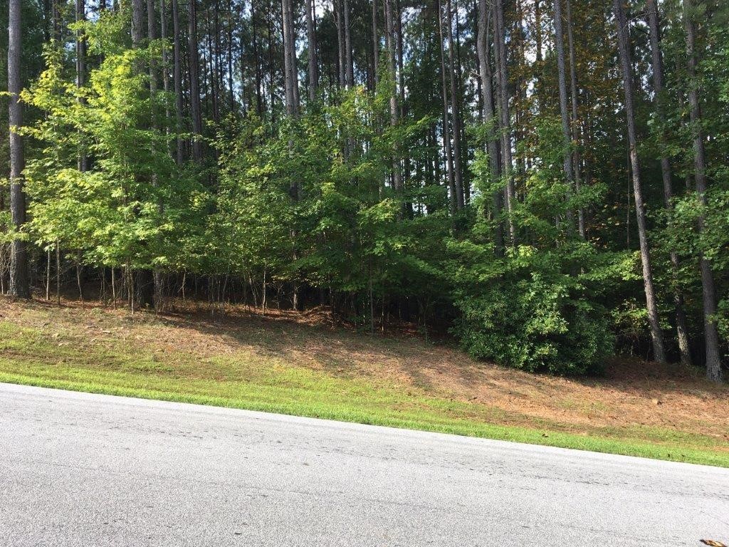 612 Top Ridge Drive Sunset, SC 29685 - Photo 1 of 12