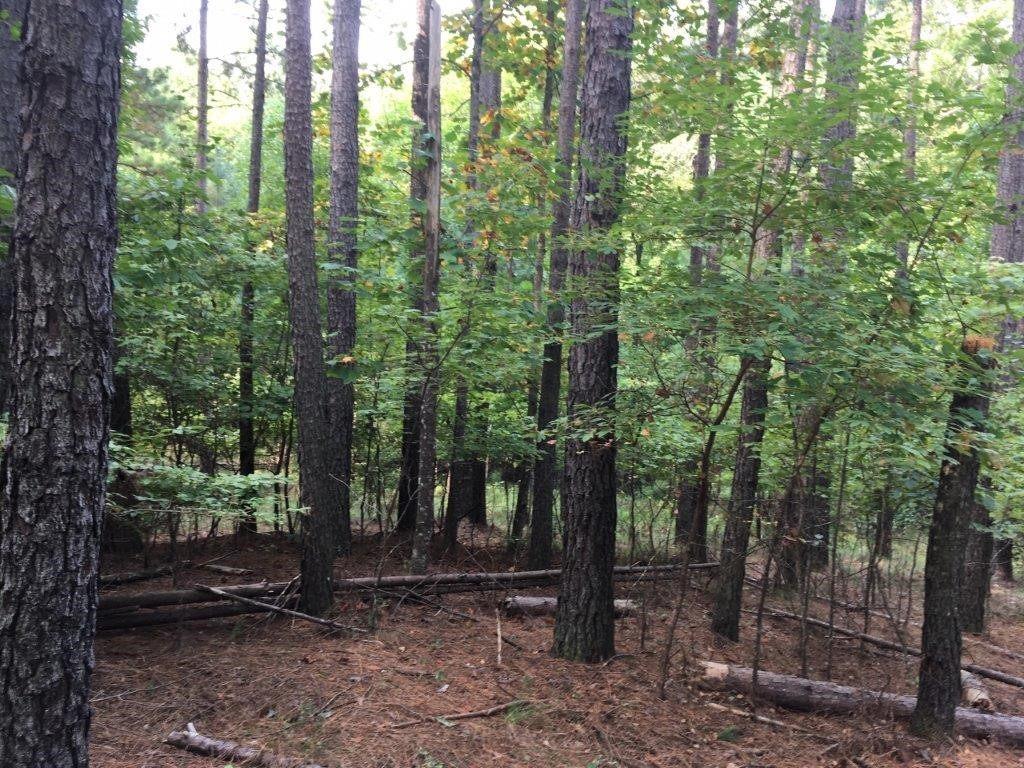 612 Top Ridge Drive Sunset, SC 29685 - Photo 2 of 12