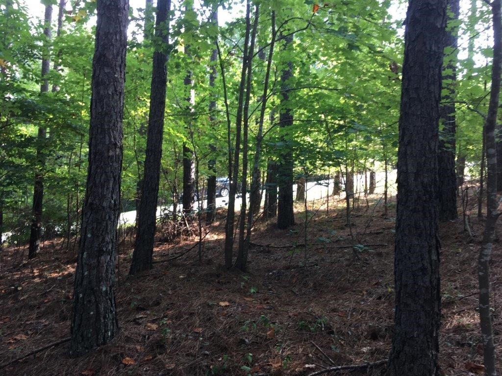 612 Top Ridge Drive Sunset, SC 29685 - Photo 3 of 12