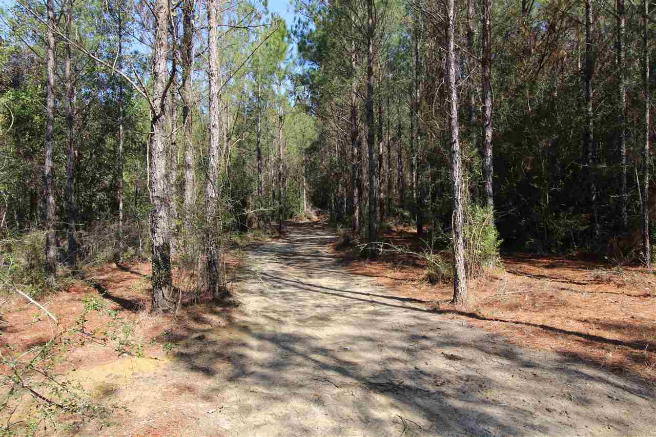 2690 Lewis Road Milton, FL 32570 - Photo 11 of 13 Gallery Image 11