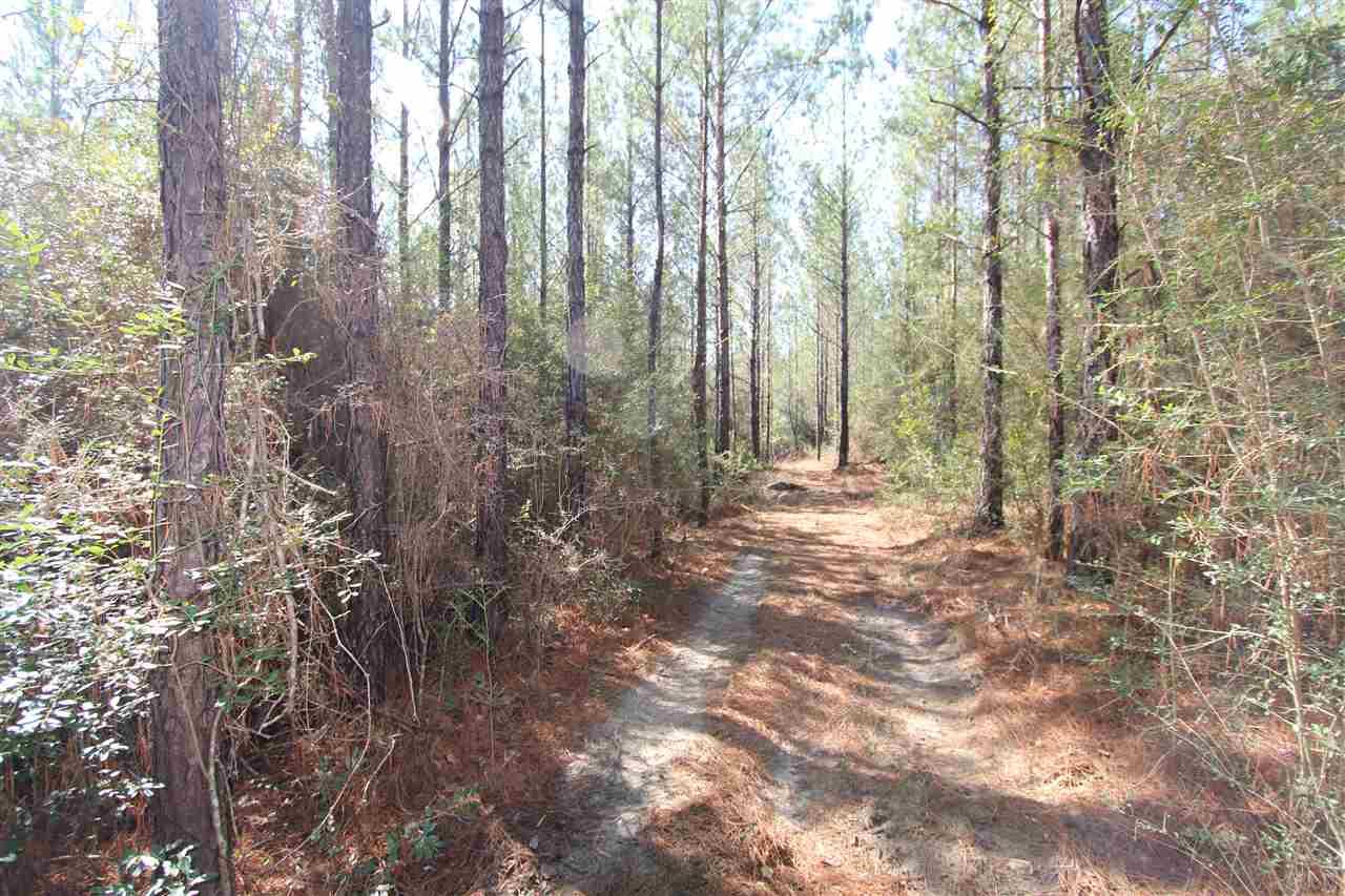 2690 Lewis Road Milton, FL 32570 - Photo 2 of 13 Gallery Image 2
