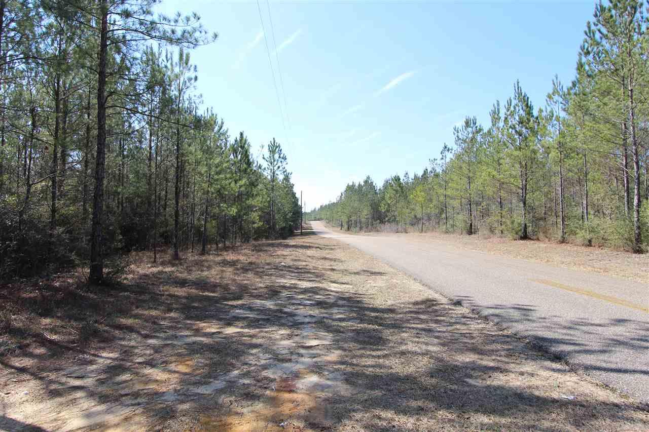2690 Lewis Road Milton, FL 32570 - Photo 3 of 13 Gallery Image 3