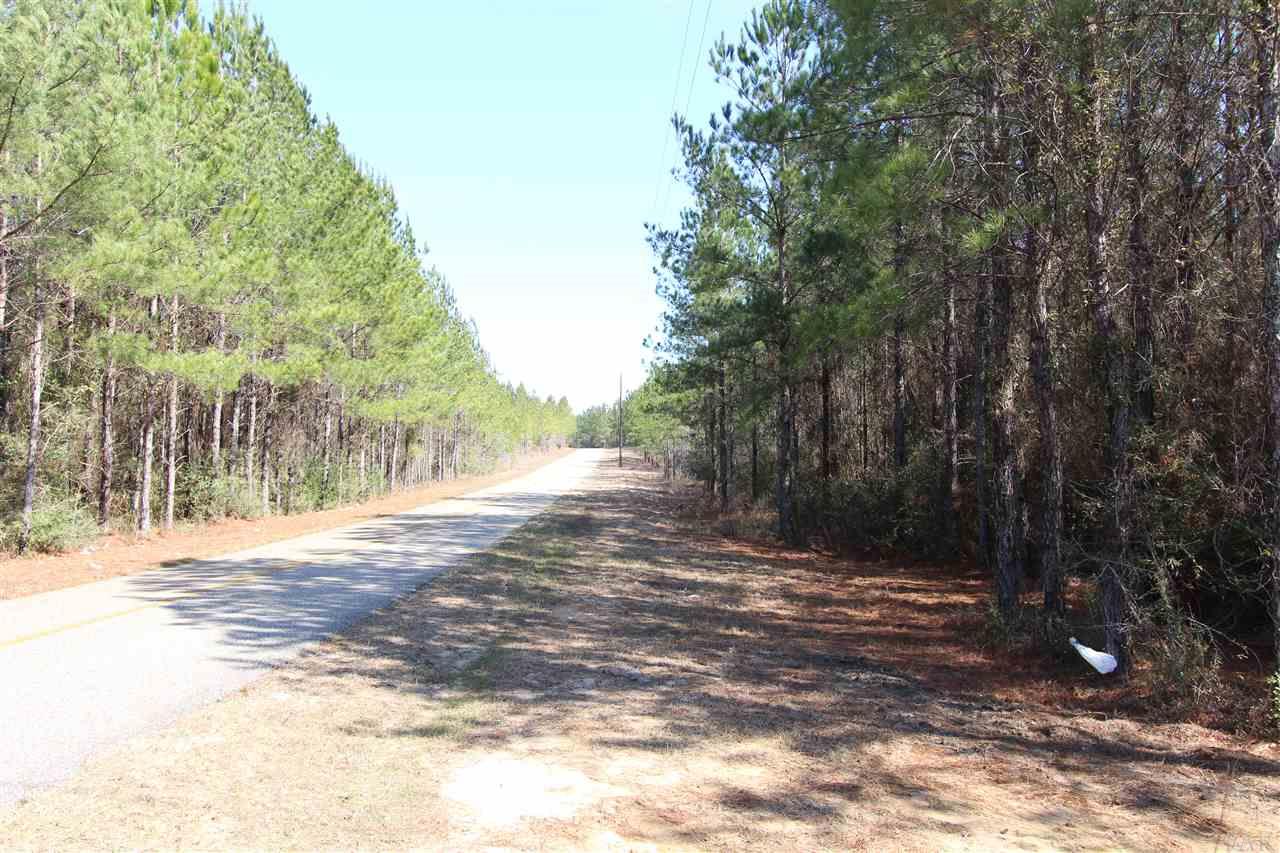 2690 Lewis Road Milton, FL 32570 - Photo 4 of 13 Gallery Image 4