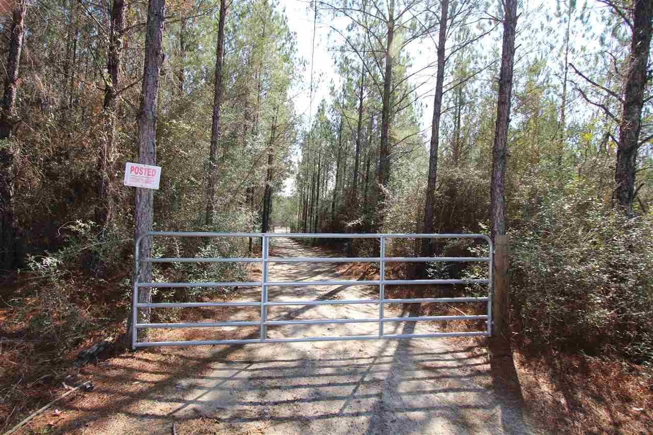 2690 Lewis Road Milton, FL 32570 - Photo 5 of 13 Gallery Image 5