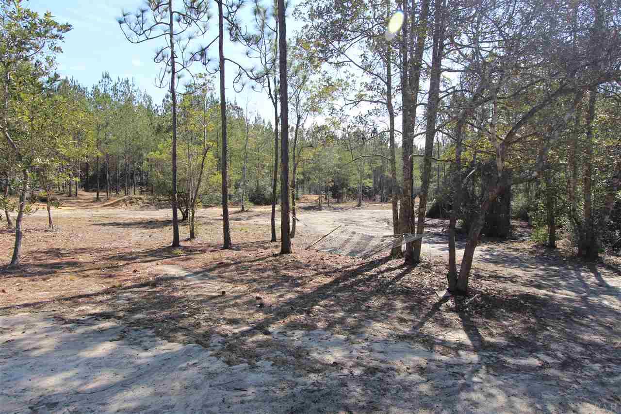 2690 Lewis Road Milton, FL 32570 - Photo 6 of 13 Gallery Image 6
