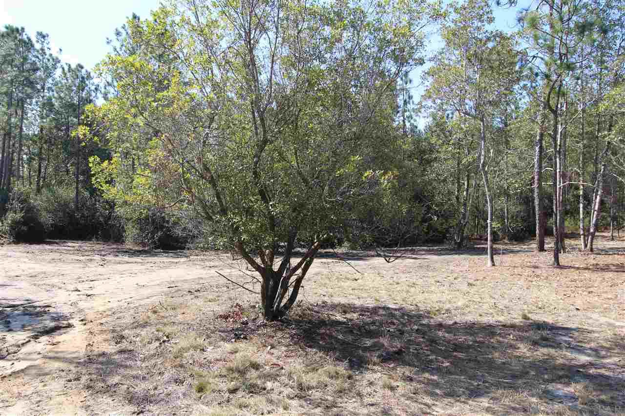2690 Lewis Road Milton, FL 32570 - Photo 10 of 13 Gallery Image 10