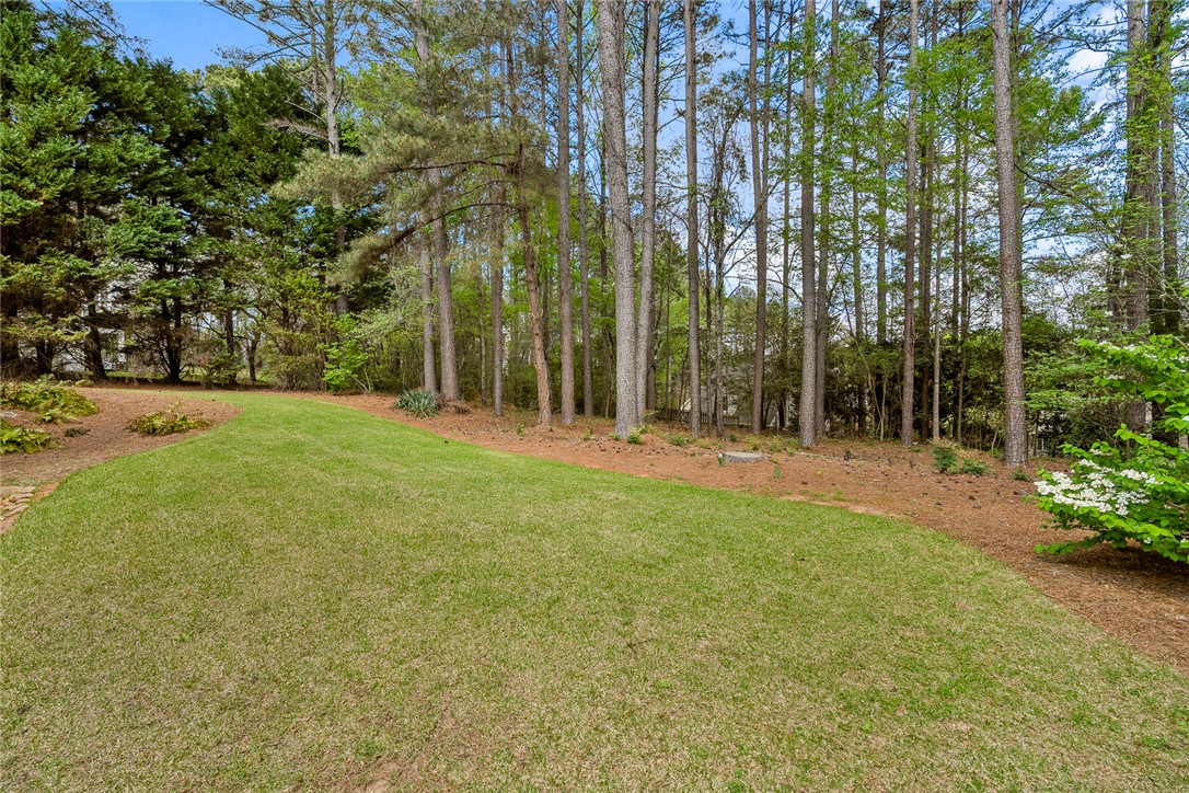 408 Sapphire Court Seneca, SC 29672 - Photo 39 of 49