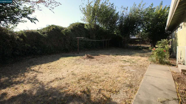 a view of backyard of the house