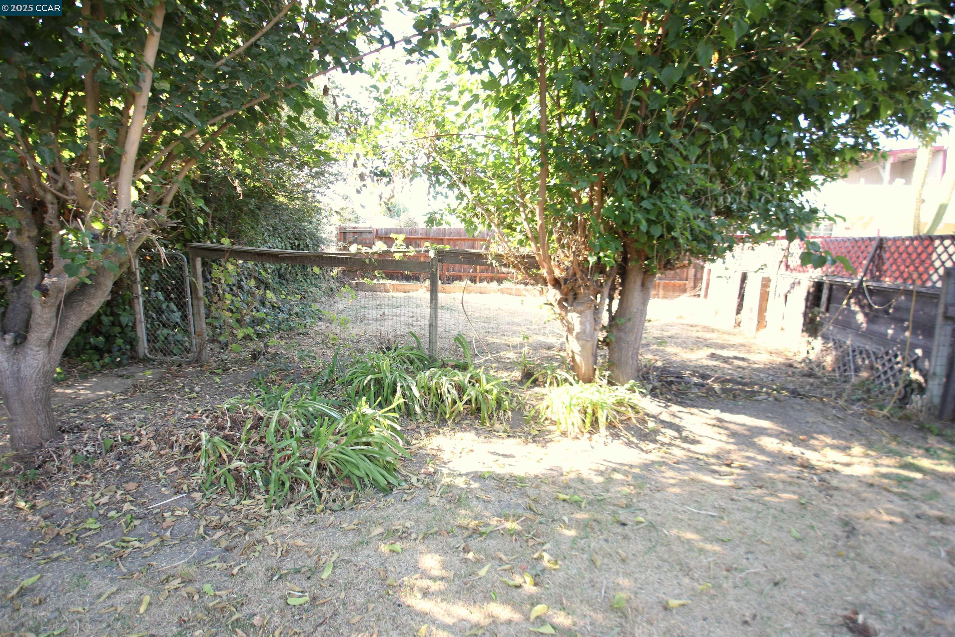 10 School Street Isleton, CA 95641 - Photo 18 of 23 a backyard of a house with lots of green space