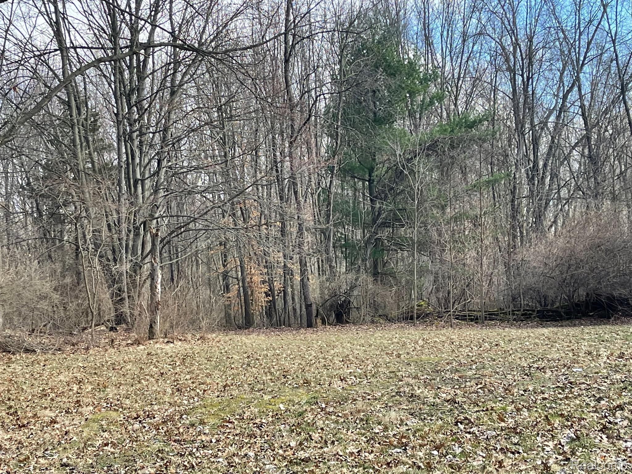 0 Lobdell Road Linden, MI 48451 - Photo 7 of 16 Gallery Image 7