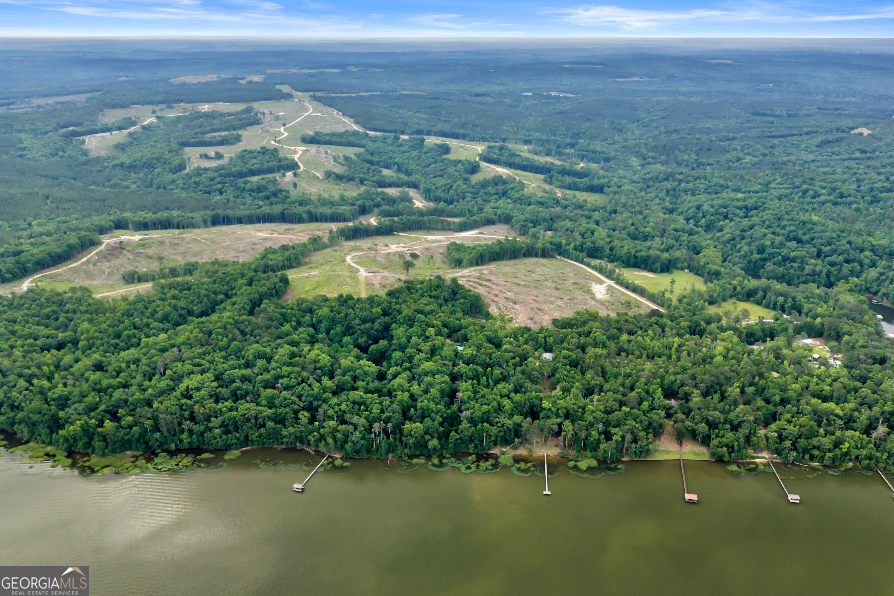 473 Vining Branch Road Georgetown, GA 39854 - Photo 17 of 43 a view of lake with mountain