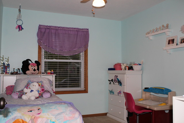 321 MacGregor Road Lockport, IL 60441 - Photo 8 of 18