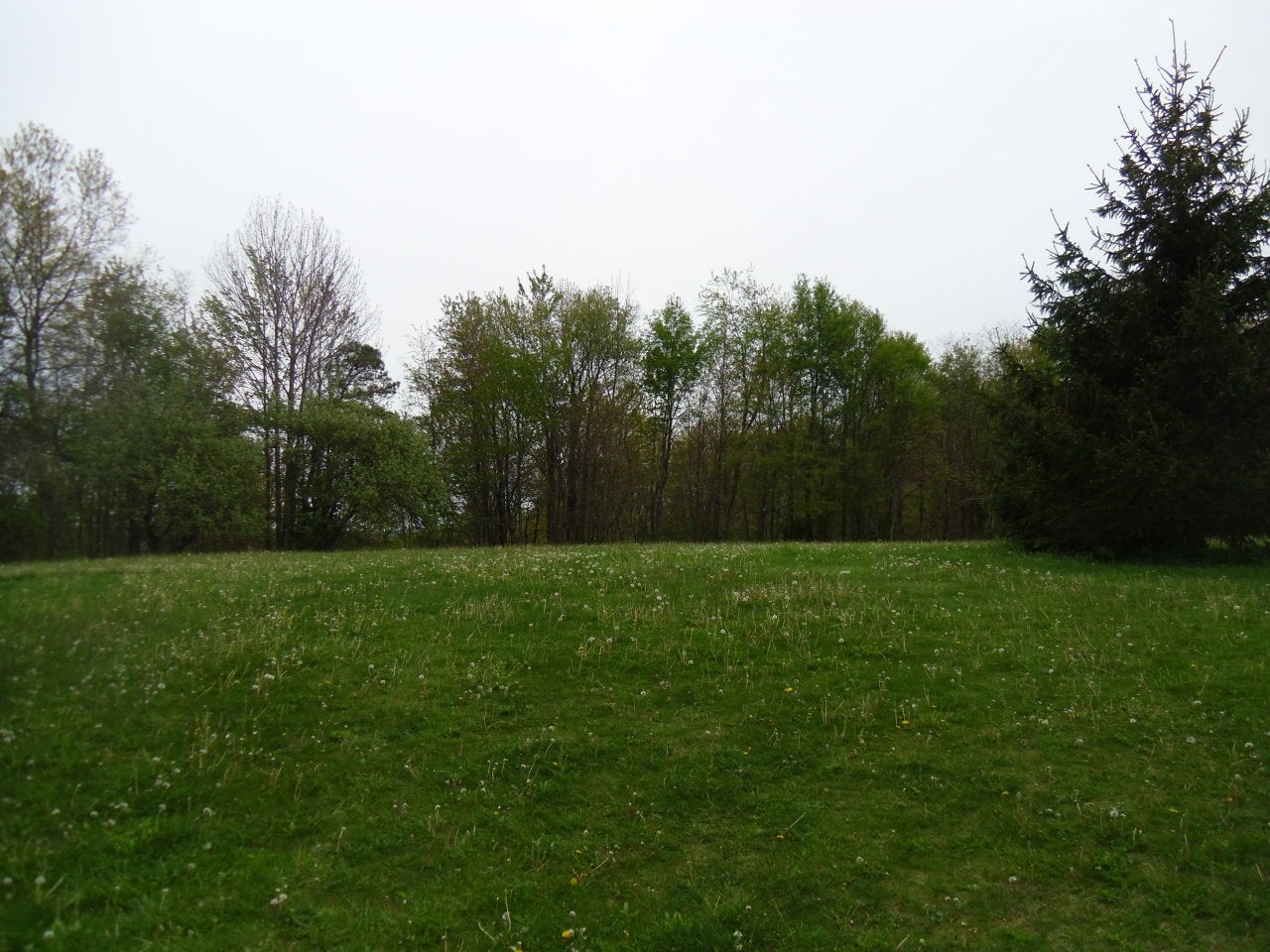 4 Hundley Road Crawley, WV 24931 - Photo 16 of 18 Back Yard