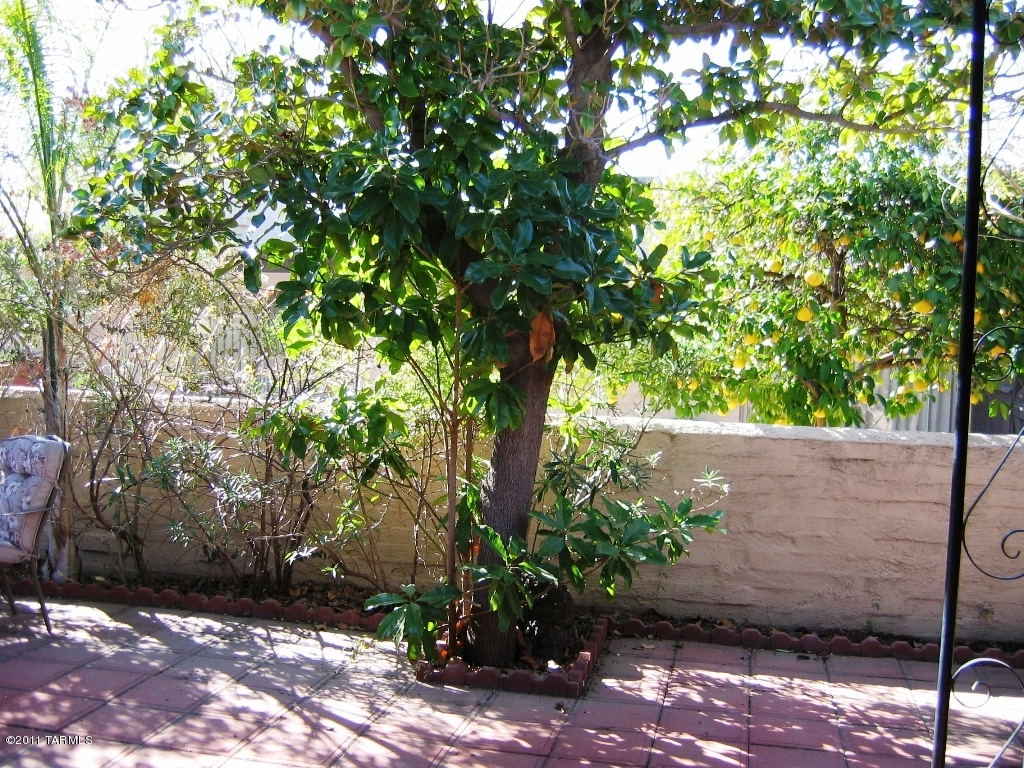 285 South Kolb Road, Unit 23 Tucson, AZ 85710 - Photo 8 of 12 Gallery Image 8