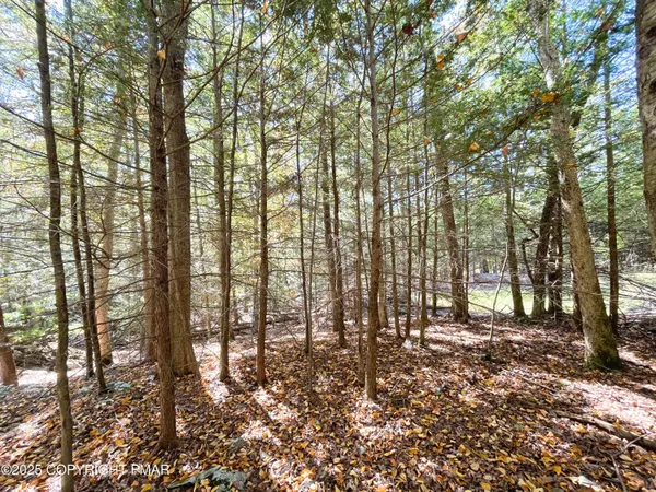 a view of a house with pool and a yard