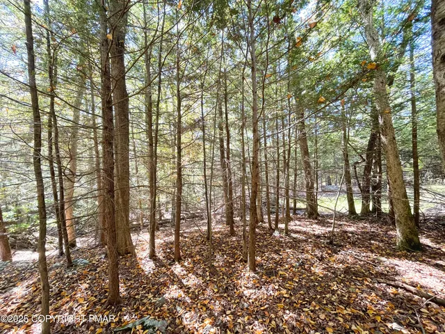 a view of a house with pool and a yard