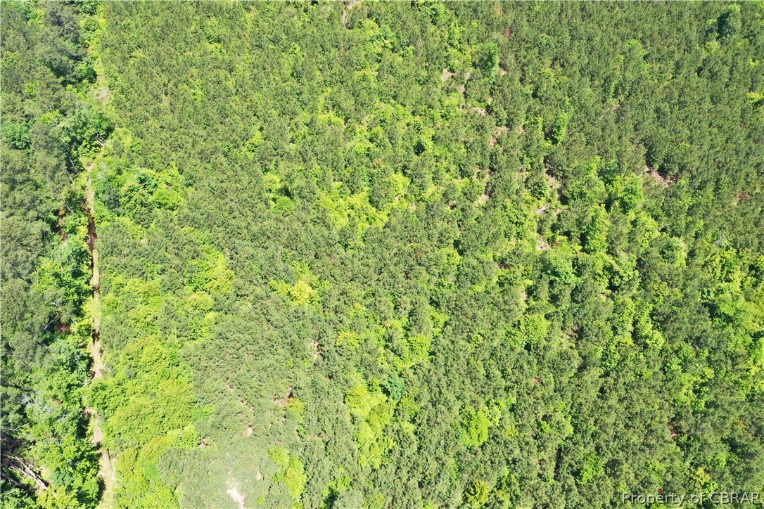 16-ac Ridge Road Cobbs Creek, VA 23035 - Photo 20 of 43 View of aerial view