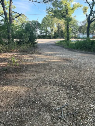 a view of a yard with a tree