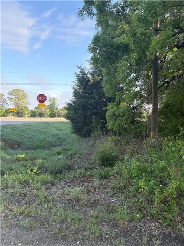 a view of a field with lots of bushes