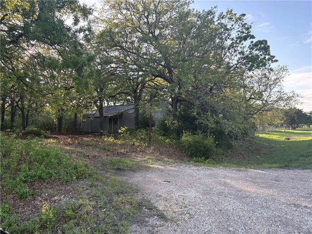 a view of a yard with a trees