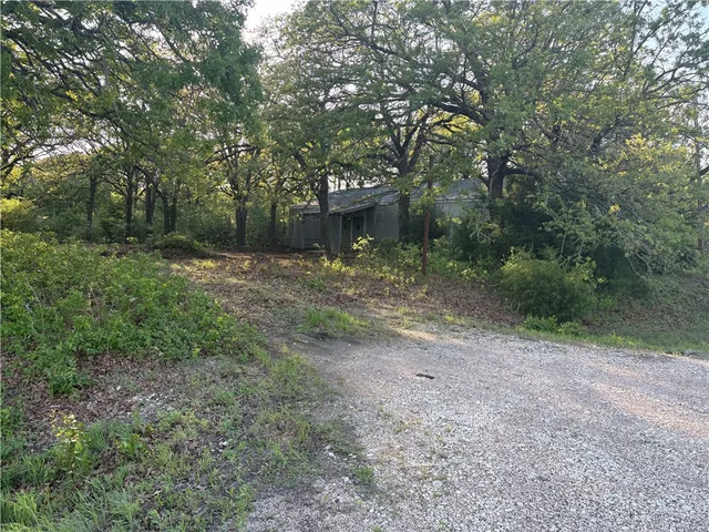 a view of a field with plants and trees